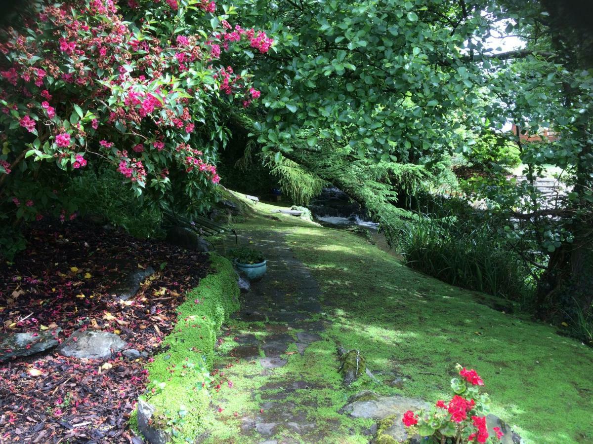 Yr Hen Felin - The Old Mill B&B Morfa Nefyn Eksteriør bilde