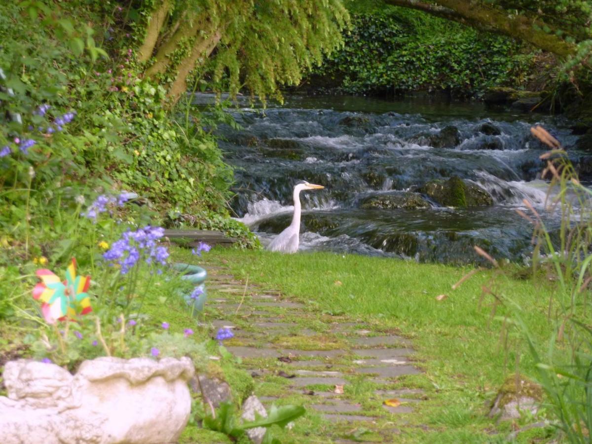 Yr Hen Felin - The Old Mill B&B Morfa Nefyn Eksteriør bilde
